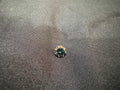 1 Ct Rainbow Green Loose Moissanite